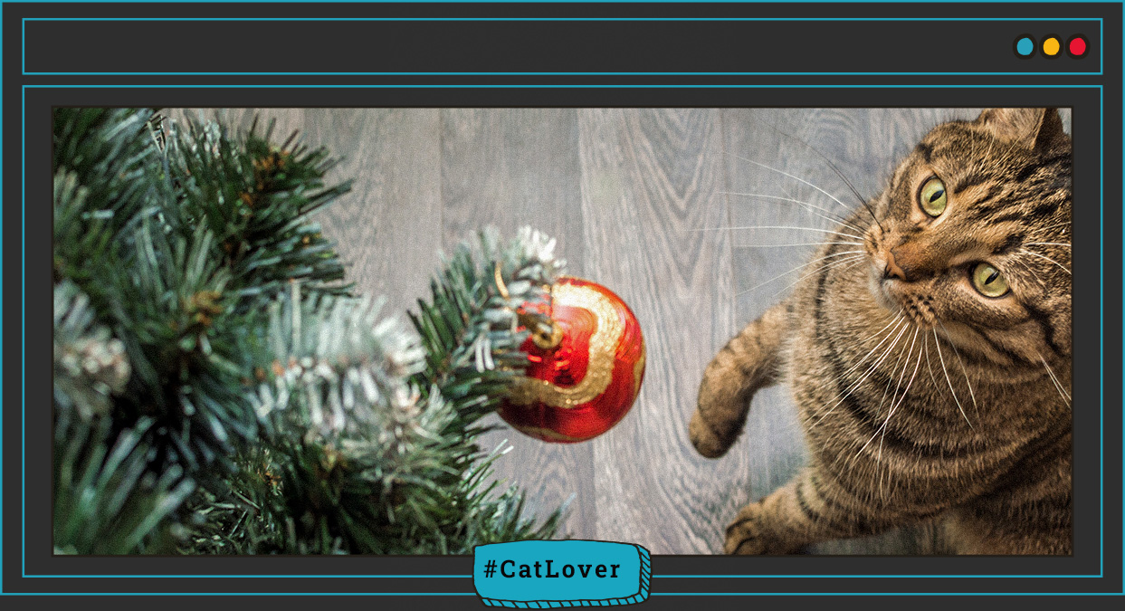 preparar la casa para Navidad con gatos